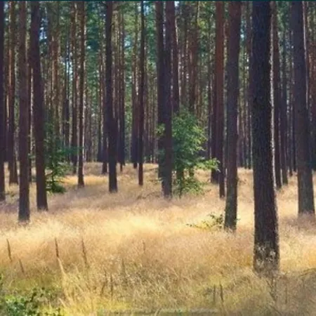 Domek Cieszyno Exteriér fotografie