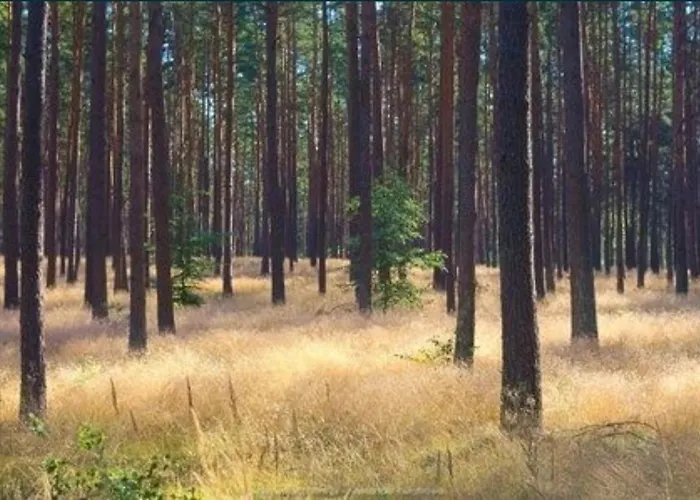 Domek Cieszyno